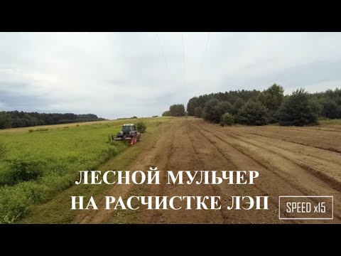 Видео: Лесной мульчер и ротоватор для расчистки земель и подготовки почвы