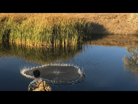 Видео: Заброс кастинговой сети для Чайников) Убрал кольцо фрисби!