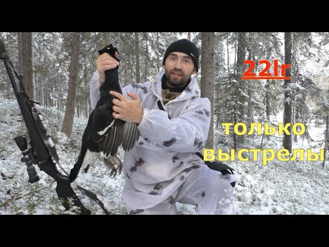Видео: Охота с МЕЛКАШКОЙ(только выстрелы).Hunting in the taiga.Shots from 22lr