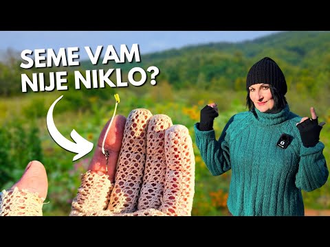 Видео: Основные причины, почему ваши семена не прорастают!