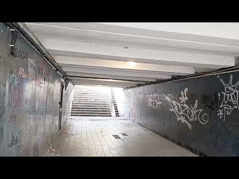 Видео: ЁЛКИ В ПАРКЕ НА НАБЕРЕЖНОЙ ПРАВОГО БЕРЕГА ЗАПОРОЖЬЕ ❤️ ОКТЯБРЬ 2025 