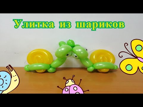 Видео: Улитка из воздушных шаров. Улитка из ШДМ.