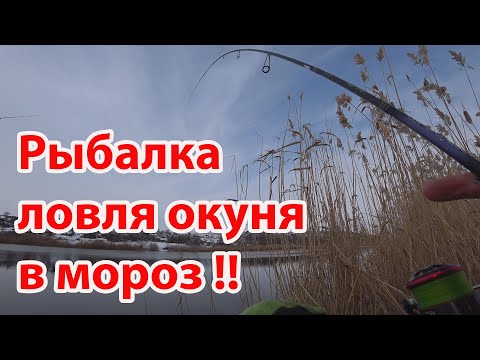 Видео: Зимний спиннинг рыбалка на окуня микроджиг