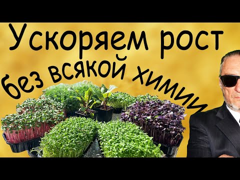 Видео: Вы не поверите, но это работает.