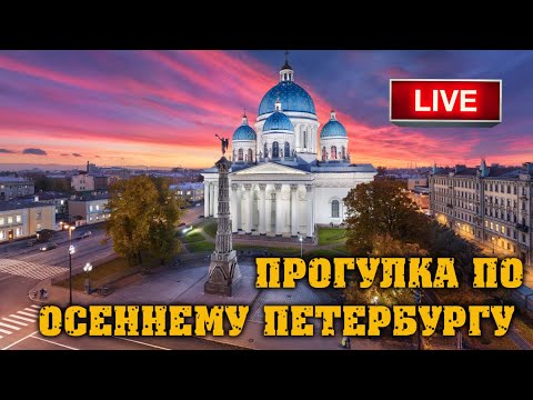 Видео: Прогулка. Новая локация Питер