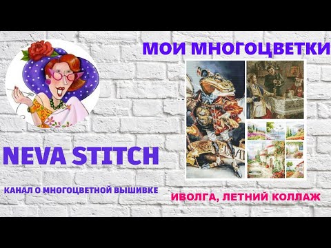 Видео: 24-7 Мои многоцветки. Продвижения по процессам. Иволга, Алиса. Авиатор, летний коллаж