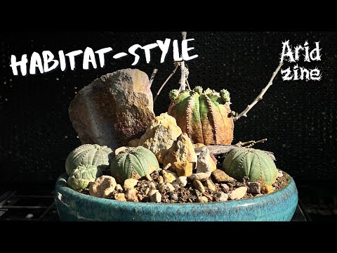 Видео: Озеленение в стиле естественной среды обитания: где искусство встречается с выращиванием растений