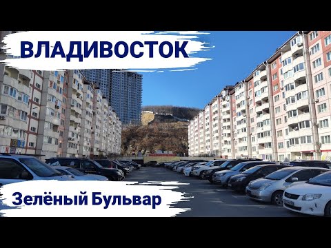 Видео: Владивосток ноябрь 2025