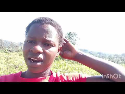 Видео: Строю габионы на песке