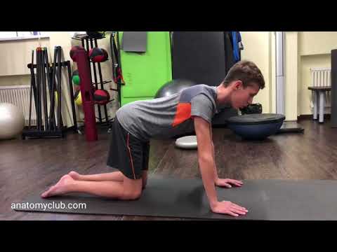 Видео: РАБОТА НАД ОСАНКОЙ У ПОДРОСТКА