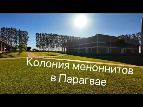 Видео: Колония меноннитов в Парагвае #парагвай #менонниты