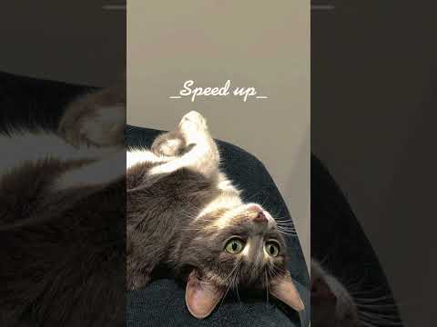 Видео: Земфира-,,До свидания"(speed up)