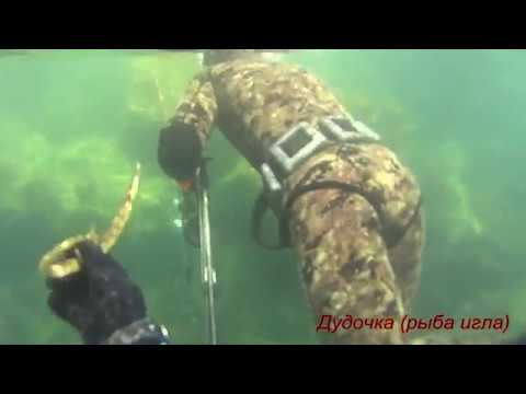 Видео: Охота на лобана июнь 2018 Часть №4