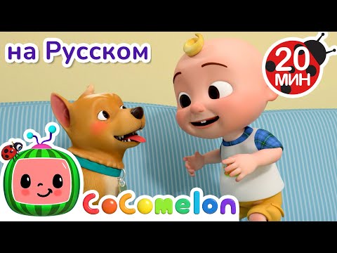 Видео: Собачья охота🐶🎶 | CoComelon на русском — Детские песенки