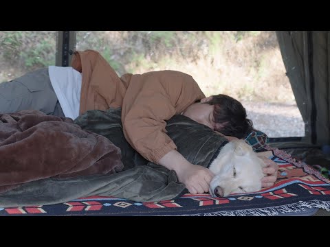 Видео: Весенний поход с собакой в ​​лес 🌳🐶 | День исцеления в надувной палатке