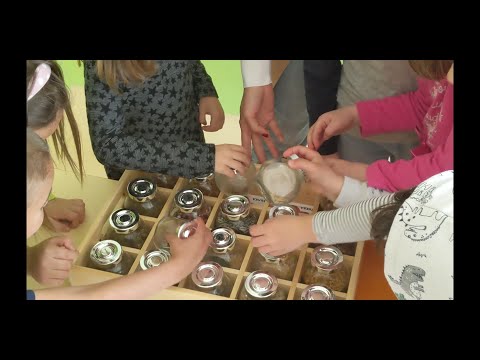 Видео: Кое семенце на кое растение принадлежи?