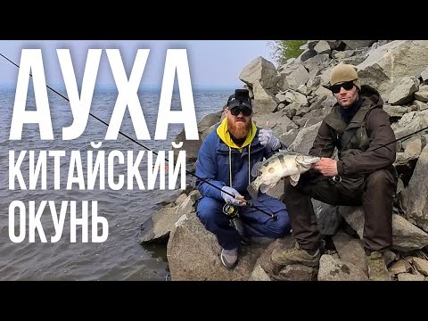 Видео: РЫБА на КАЖДОМ забросе | Как поймать Ауху на джиг