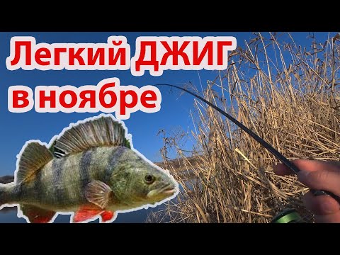Видео: Легкий Джиг на реке  ловля ОКУНЯ на спиннинг в ноябре