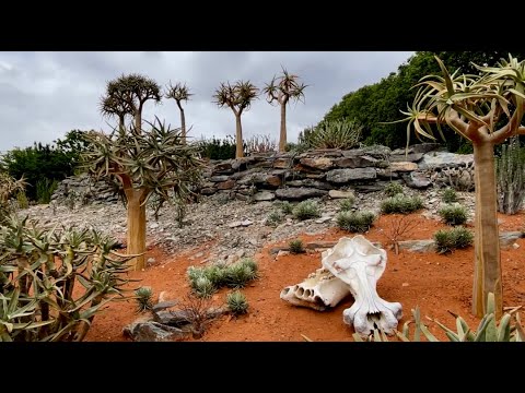 Видео: Выставка Цветов В Челси 2025 (Часть 1) - Chelsea Flower Show 2025 (Part 1) #london #flowers #garden