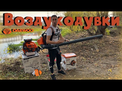 Видео: Осенью без нее как без рук! Воздуходувка ранцевая Daewoo DABL