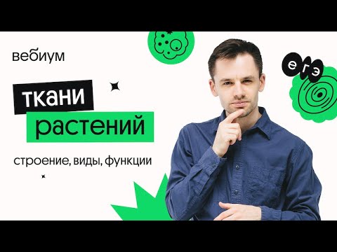 Видео: ТКАНИ РАСТЕНИЙ | Биология ЕГЭ | Вебиум