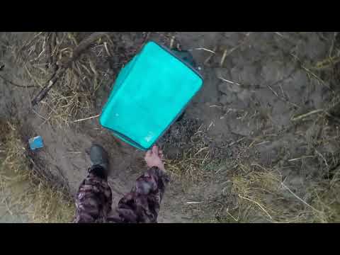 Видео: жерех 2022 рыбалка мы нашли его весенний жерех  на реке Каратал рыбалка в Казахстане г Талдыкорган