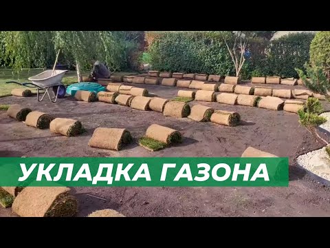 Видео: Ландшафтный дизайн частного сада / Укладываем рулонный газон / Укладка камнем в тенистых местах.