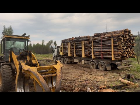 Видео: Веселый день! Посадили два трактора
