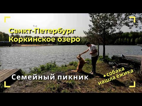 Видео: Санкт Петербург #10 Коркинские озёра Пикник на озере