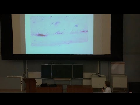 Видео: Гистология. Нервная система (Ч1)