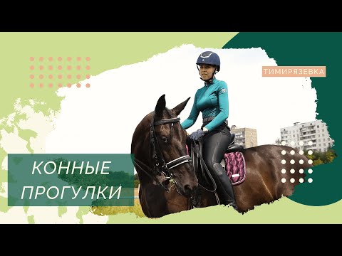 Видео: Верхом по Тимирязевке
