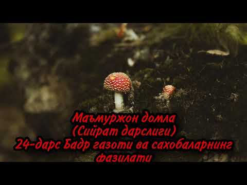 Видео: Маъмуржон домла(Сийрат дарслиги)24-дарс Бадр газоти ва сахобаларнинг фазилати