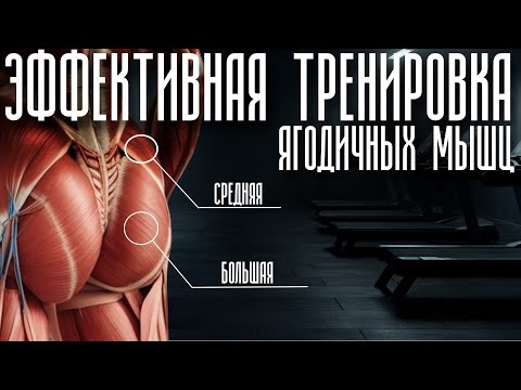 Видео: Эффективная тренировка ягодичных мышц. Как накачать ягодицы? Разбор упражнений для ягодичных мышц