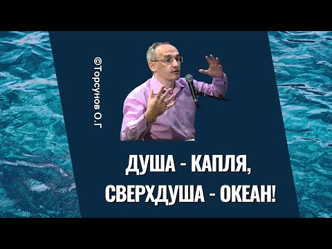 Видео: Душа - капля, СверхДуша - океан! Торсунов лекции