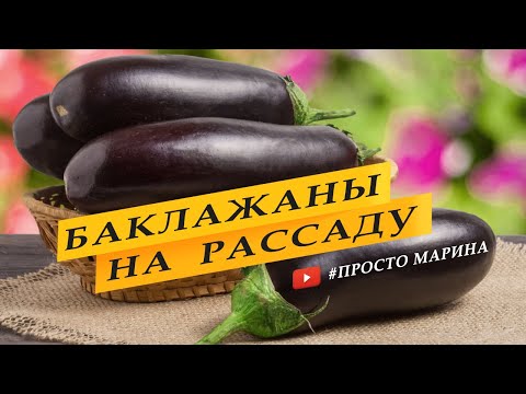 Видео: Посев семян баклажанов на рассаду.