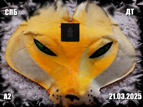 Видео: ДАЙТЕ ТАНК Шанс КОНЦЕРТ СПБ Клуб А2 21 03 2025