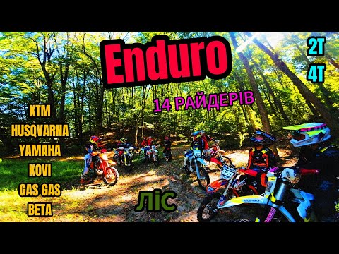 Видео: ENDURO ПОКАТУШКА В ЛІСІ