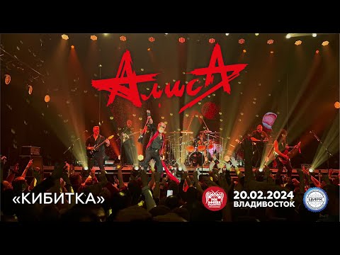 Видео: Алиса - Кибитка (Live • Владивосток • 20.02.2024)