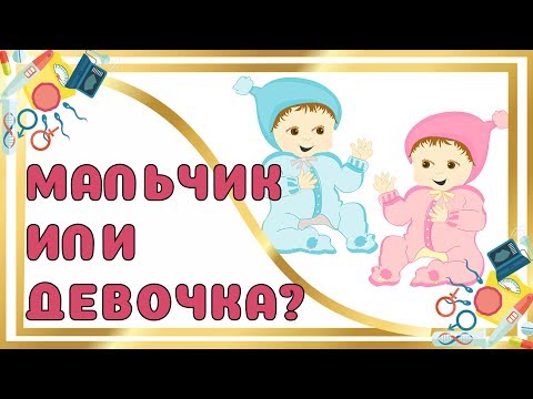 Видео: Мальчик или Девочка?! ТОП 100 СПОСОБОВ и ПРИМЕТ на Определение