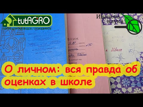 Видео: НИКОГДА НЕ РУГАЙТЕ РЕБЁНКА ЗА ПЛОХИЕ ОЦЕНКИ! Что делать, если ребенок плохо учится?
