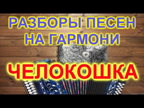 Видео: РАЗБОРЫ ПОД ГАРМОНЬ! ЧЕЛОВЕК И КОШКА!