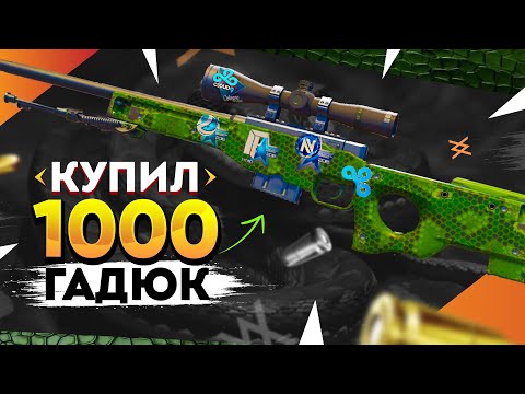 Видео: КУПИЛ 1000 AWP | Гадюка в КС 2. Попалось ДОРОГОЕ КОМБО НАКЛЕЕК 2015, БРЕЛКИ + ТОП100 ФЛОАТ