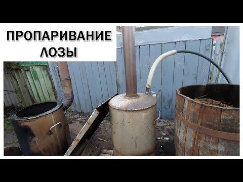 Видео: ПРОПАРИВАНИЕ ЛОЗЫ #лозоплетение