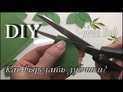 Видео: КАК ВЫРЕЗАТЬ ЗУБЧИКИ на ЛИСТЬЯХ | ФОАМИРАН