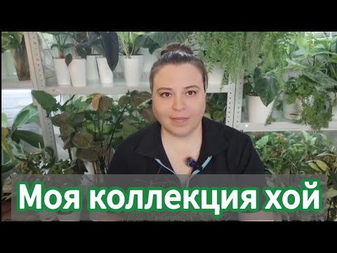 Видео: Моя коллекция хой