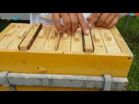 Видео: Немного про нуклеусы 18.06.2018