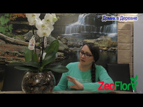 Видео: Закрытая система с цеофлорой! Внесение корректив  Посадка в круглый аквариум