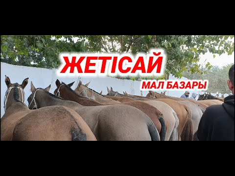Видео: ЖЕТІСАЙДА НЕ ЖАҢАЛЫҚ |  ЖЕТІСАЙ МАЛ БАЗАРЫ | livestockmarketing