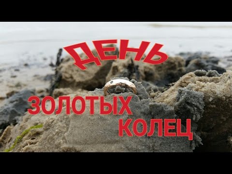 Видео: День золотых колец на юрмальском пляже.Minelab safari.Пляжный коп 2016.