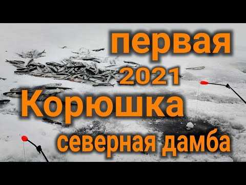 Видео: Ловим корюшку на Финском заливе Северная дамба 2021 и готовим корюшку , catching smelt in the Gulf